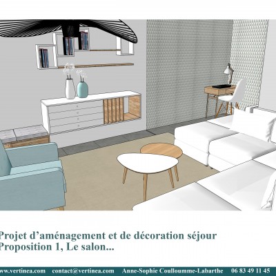 Décoration intérieure, aménagement, rénovation et suivi de chantier appartement Lyon 6 - Proposition 3D Salon scandinave