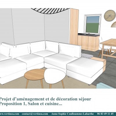 Décoration intérieure, aménagement, rénovation et suivi de chantier appartement Lyon 6 - Proposition 3D Salon scandinave