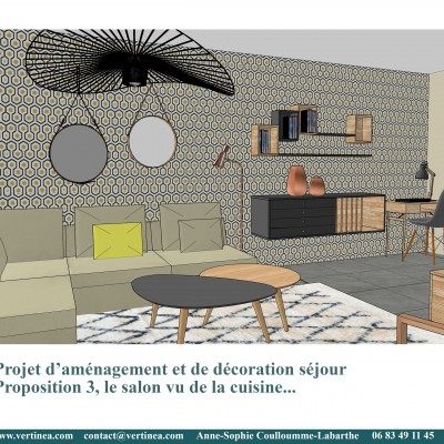 Décoration intérieure, aménagement, rénovation et suivi de chantier appartement Lyon 6 - Proposition 3D Salon ethnic chic