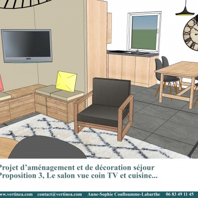 Décoration intérieure, aménagement, rénovation et suivi de chantier appartement Lyon 6 - Proposition 3D Salon ethnic chic